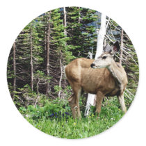 Deer in the Woods Round Sticker