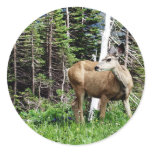 Deer in the Woods stickers