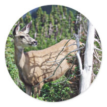 Deer in the Woods Sticker