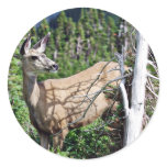 Deer in the Woods stickers