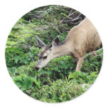 Deer in the Woods stickers