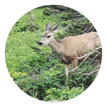 Deer in the Woods Stickers