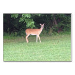 Deer In The Woods Table Card