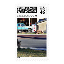 Deer In Town Stamp