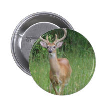 Deer in Velvet Buttons