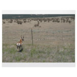 deer in wild letterhead