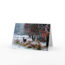 Deer in Winter Greeting Cards