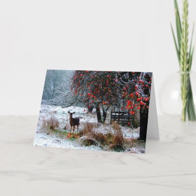 Deer in Winter Greeting Cards