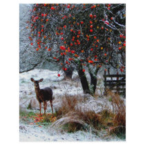 Deer in Winter flyers