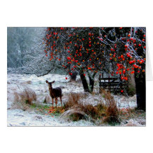 Deer in Winter Greeting Cards