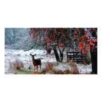 Deer in Winter photo cards