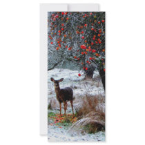 Deer in Winter Custom Rack Card