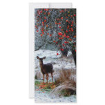 Deer in Winter Custom Rack Card