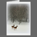 Deer in Woods in Snow Greeting Card cards