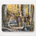 Deer In Woods Mousepad