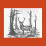 deer, deers, buck, doe, nose, eye, eyes, t shirt,