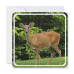 Deer Invitation