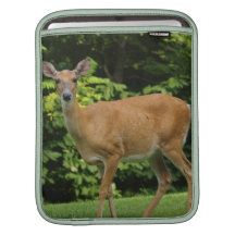 Deer iPad Sleeve