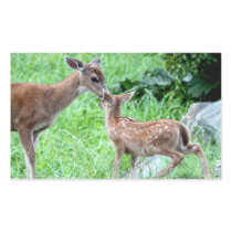 Deer Kissing Fawn Rectangle Stickers