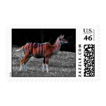 Deer Kudu Stamps