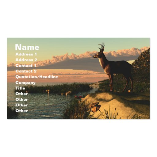Deer Lake Business Card (front side)