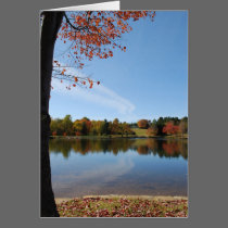 Deer Lake card cards