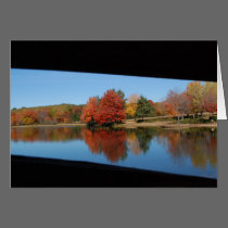 Deer Lake card cards