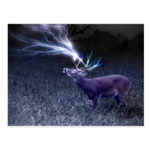 Deer Lightning Postcards