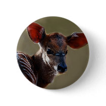 Deer looking at you button