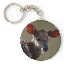 Deer looking at you keychains