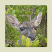 Deer Lovers Gift Ideas
