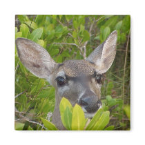 Deer Lovers Gift Ideas magnets by WildByDezign Deer Lovers Gift Ideas magnets