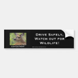 Deer Motivational Gifts Bumper Stickers