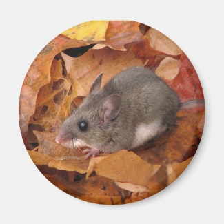 Deer mouse Magnet