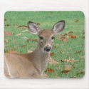 Deer Mousepad by sexycher Deer Mousepad