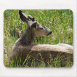 Deer Mousepad - The Sleeping Prince mousepads