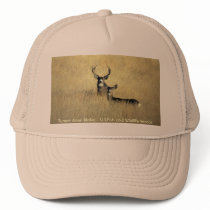 Deer / Mule Deer Herd hats
