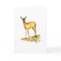 Deer Note Card by Critterpainter Deer Note Card