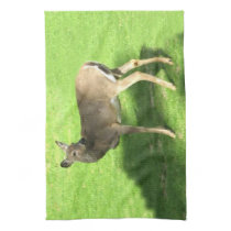Deer on Grass American MoJo Kitchen Towel