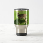 Deer on Grass Mugs