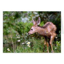 Deer on the Go Card