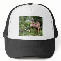 Deer on the Go Hat