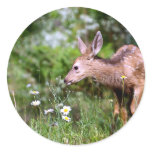 Deer on the Go stickers