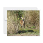 Deer on the Golf Course Invitation
