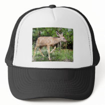 Deer Pointer Hats