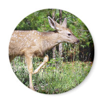 Deer Pointer Magnet