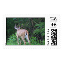 DEER postage by mark59956 DEER postage