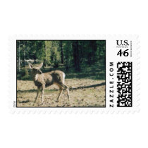 Deer postage by quetzal323 Deer postage