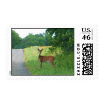 deer stamps