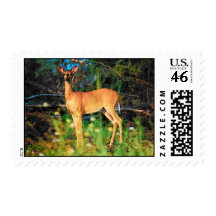 Deer Postage